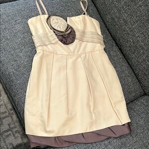 Elegant Cream and Brown BCBG Women's Dress